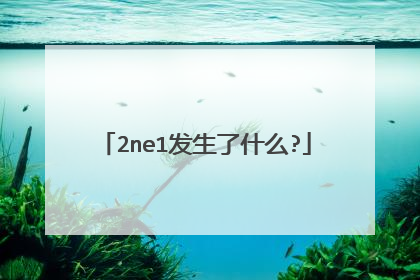 2ne1发生了什么?