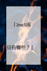 2ne1成员有哪些?