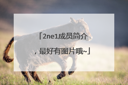 2ne1成员简介,最好有图片哦~