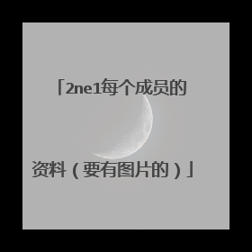 2ne1每个成员的资料（要有图片的）