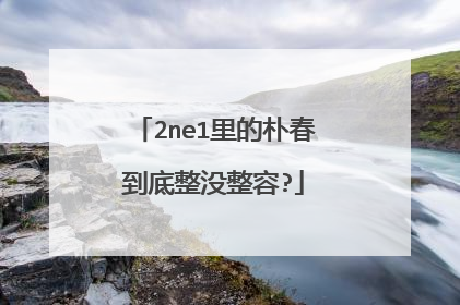 2ne1里的朴春到底整没整容?