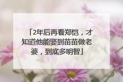 2年后再看郑恺，才知道他能娶到苗苗做老婆，到底多明智