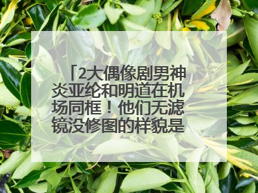2大偶像剧男神炎亚纶和明道在机场同框!他们无滤镜没修图的样貌是怎样的?