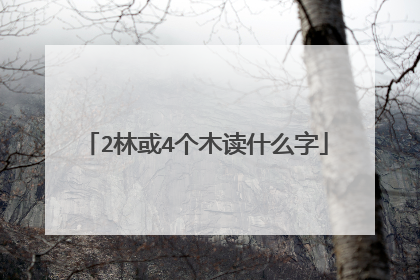2林或4个木读什么字