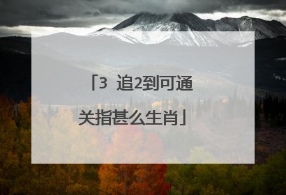 3 追2到可通关指甚么生肖