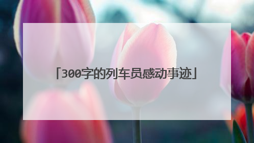 300字的列车员感动事迹