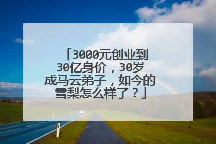3000元创业到30亿身价,30岁成马云弟子,如今的雪梨怎么样了?