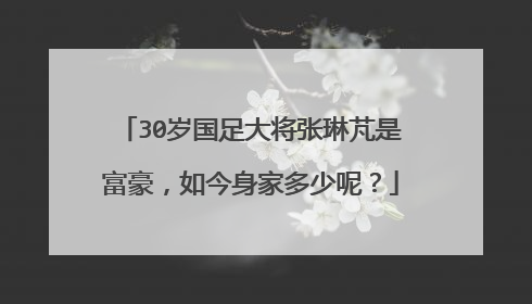 30岁国足大将张琳芃是富豪，如今身家多少呢？