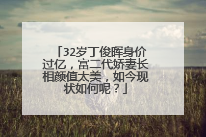 32岁丁俊晖身价过亿,富二代娇妻长相颜值太美,如今现状如何呢?