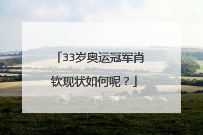 33岁奥运冠军肖钦现状如何呢?