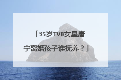35岁TVB女星唐宁离婚孩子谁抚养?
