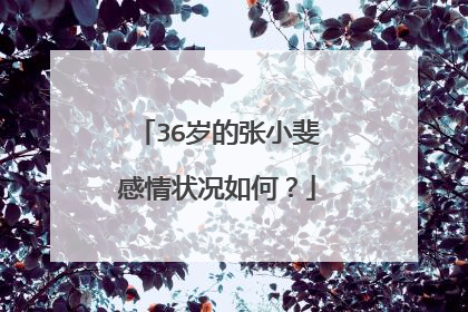 36岁的张小斐感情状况如何？