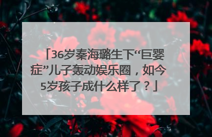 36岁秦海璐生下“巨婴症”儿子轰动娱乐圈，如今5岁孩子成什么样了？