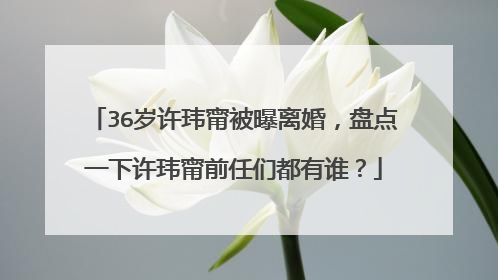 36岁许玮甯被曝离婚，盘点一下许玮甯前任们都有谁？