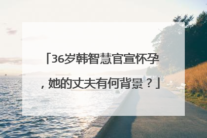 36岁韩智慧官宣怀孕，她的丈夫有何背景？