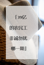 39亿的农民工非诚勿扰哪一期