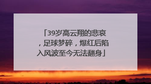 39岁高云翔的悲哀，足球梦碎，爆红后陷入风波至今无法翻身
