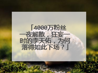 4000万粉丝一夜解散,狂妄一时的李天佑,为何落得如此下场?