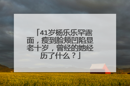 41岁杨乐乐罕露面，瘦到脸颊凹陷显老十岁，曾经的她经历了什么？