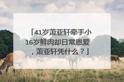41岁萧亚轩牵手小16岁鲜肉却日常恩爱，萧亚轩凭什么？