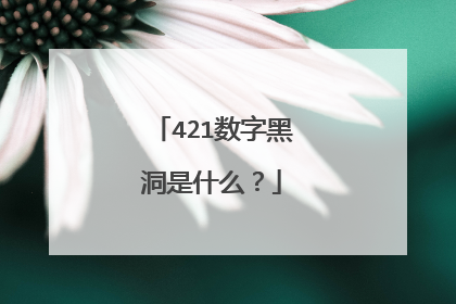 421数字黑洞是什么？