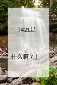 421是什么啊？