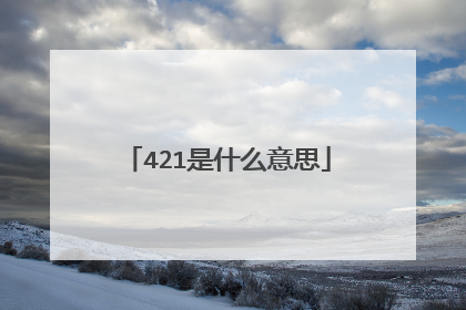 421是什么意思