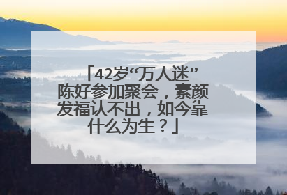 42岁“万人迷”陈好参加聚会，素颜发福认不出，如今靠什么为生？