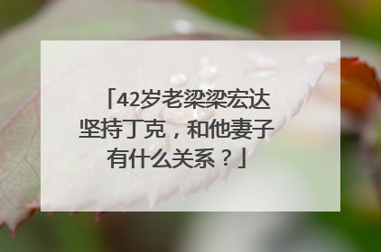 42岁老梁梁宏达坚持丁克，和他妻子有什么关系？