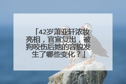42岁萧亚轩浓妆亮相,官宣复出,被狗咬伤后她的容貌发生了哪些变化?