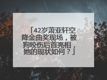 42岁萧亚轩空降金曲奖现场,被狗咬伤后首亮相,她的现状如何?