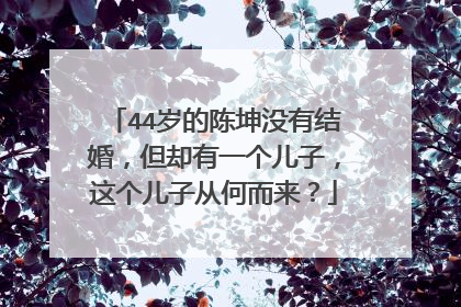 44岁的陈坤没有结婚，但却有一个儿子，这个儿子从何而来？