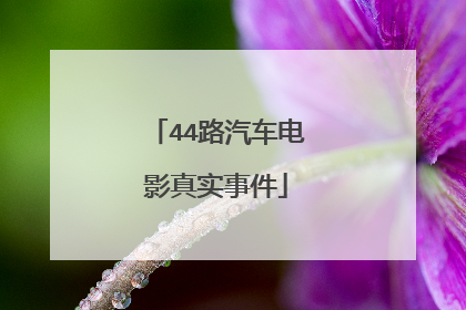 44路汽车电影真实事件