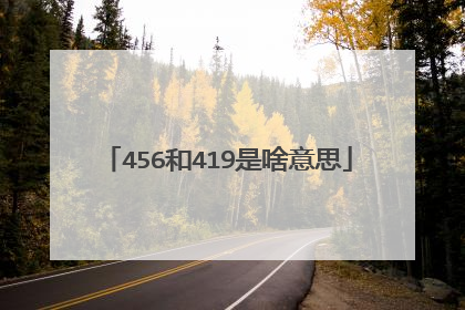 456和419是啥意思