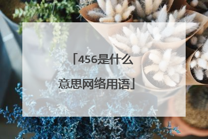 456是什么意思网络用语