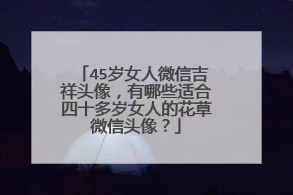 45岁女人微信吉祥头像,有哪些适合四十多岁女人的花草微信头像?