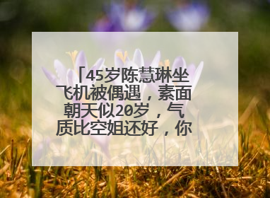 45岁陈慧琳坐飞机被偶遇，素面朝天似20岁，气质比空姐还好，你怎么看？