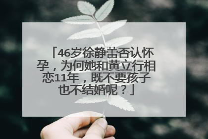 46岁徐静蕾否认怀孕，为何她和黄立行相恋11年，既不要孩子也不结婚呢？