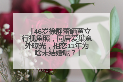 46岁徐静蕾晒黄立行视角照,同居爱巢意外曝光,相恋11年为啥未结婚呢?