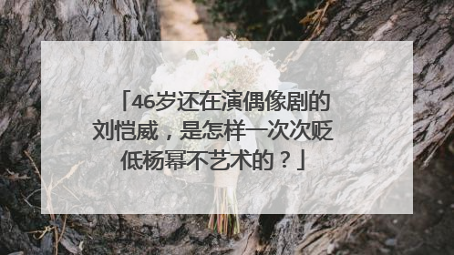 46岁还在演偶像剧的刘恺威，是怎样一次次贬低杨幂不艺术的？