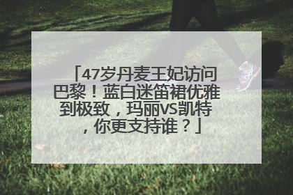 47岁丹麦王妃访问巴黎!蓝白迷笛裙优雅到极致,玛丽VS凯特,你更支持谁?