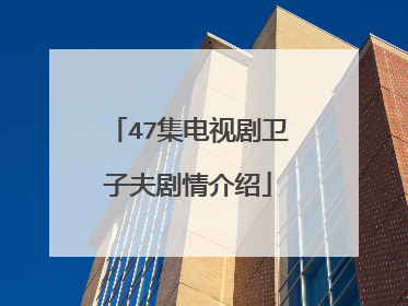 47集电视剧卫子夫剧情介绍