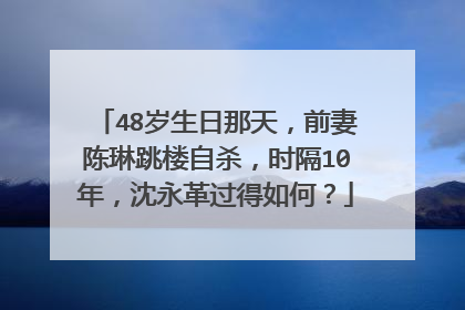 48岁生日那天,前妻陈琳跳楼自杀,时隔10年,沈永革过得如何?