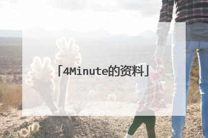 4Minute的资料