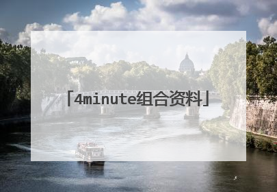 4minute组合资料