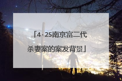 4·25南京富二代杀妻案的案发背景