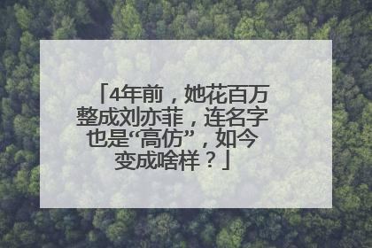 4年前,她花百万整成刘亦菲,连名字也是“高仿”,如今变成啥样?