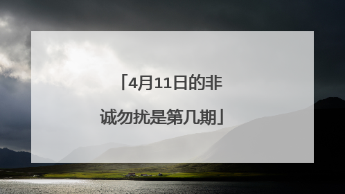 4月11日的非诚勿扰是第几期
