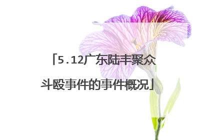 5.12广东陆丰聚众斗殴事件的事件概况