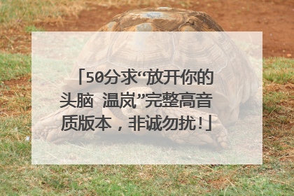 50分求“放开你的头脑 温岚”完整高音质版本，非诚勿扰!